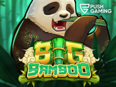 Big dollar casino no deposit bonus codes18